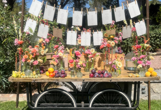 oui-weddings-bodas