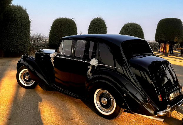 oui-weddings-bodas